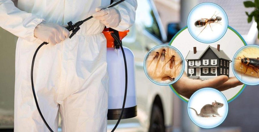 Erdemli Böcek İlaçlama