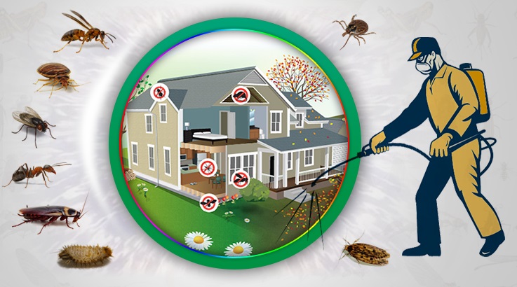 Erdemli Böcek İlaçlama