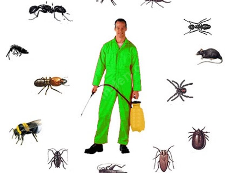 Erdemli Böcek İlaçlama